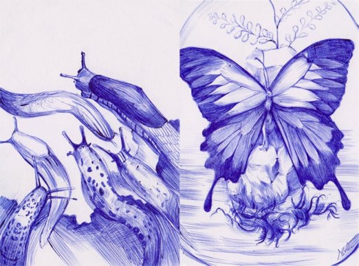 282571_350389995059827_1541412534_n